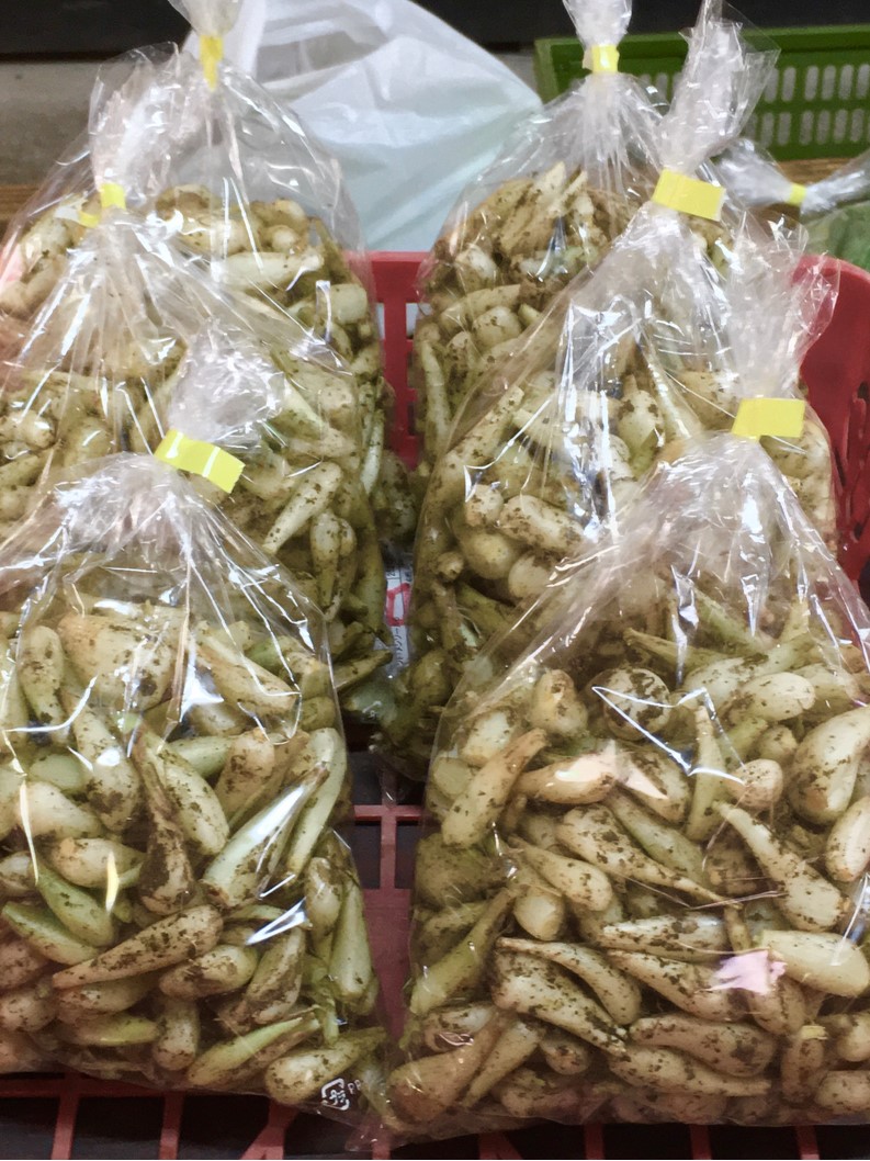 【出荷情報】ラッキョウ(ひぐらし茶屋)