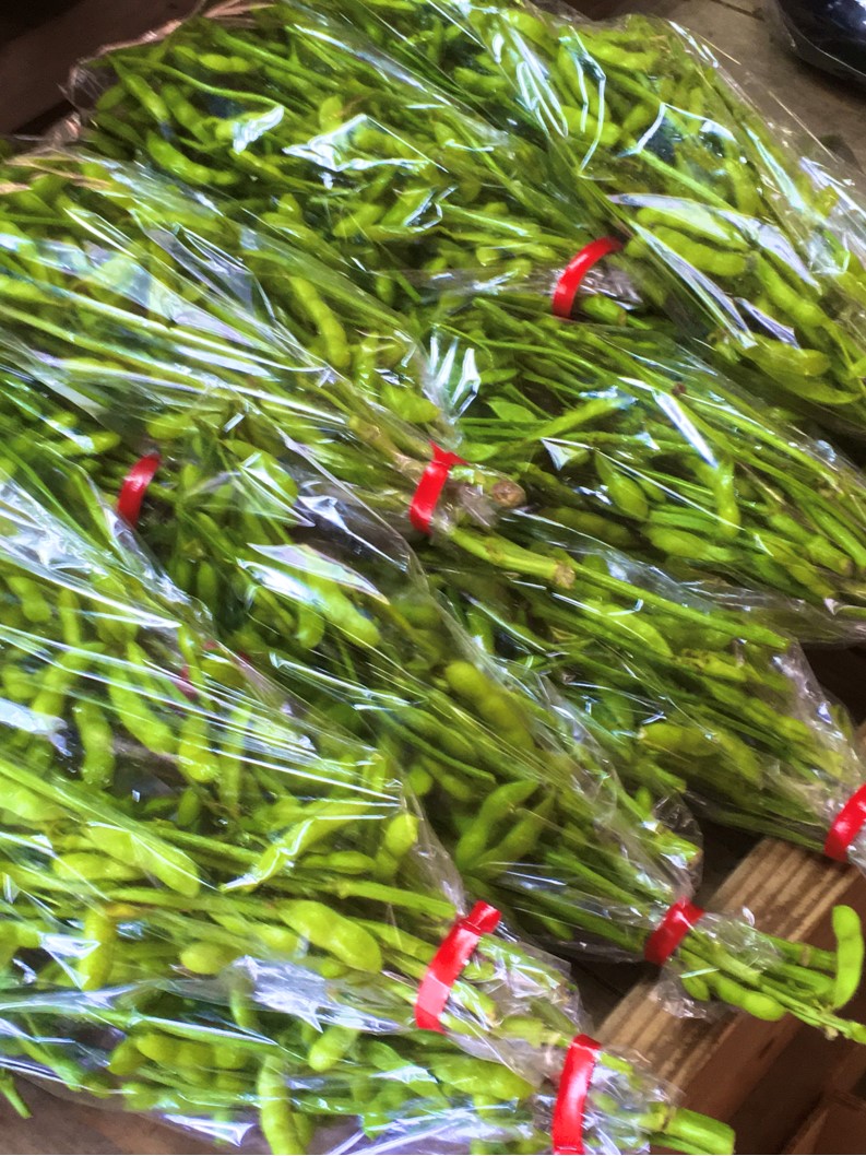 【出荷情報】枝豆(ひぐらし茶屋)